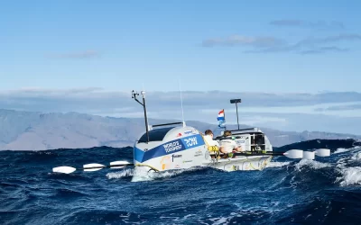 Stability You Can Trust: Why the D-Series Keeps You Safe at Sea