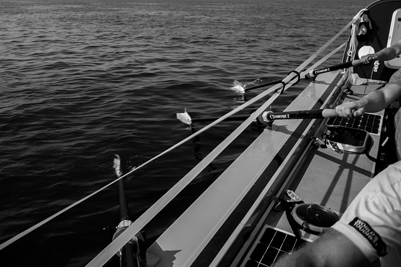 ocean_rowing_black_white Ocean Rowing Black Whit Oars Toughest Row